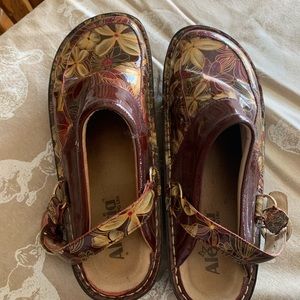 Fall hand painted clogs